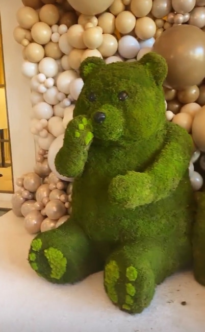 Malika Haqq's baby shower arranged by Khloe Kardashian is everything that dreams are made of. Check out the bear themed, star studded event. 16